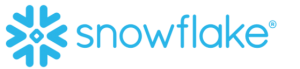 Snowflake blue logo title